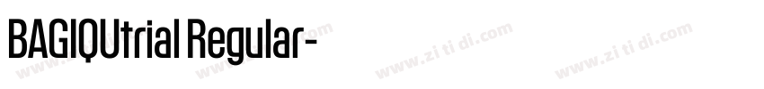 BAGIQUtrial Regular字体转换